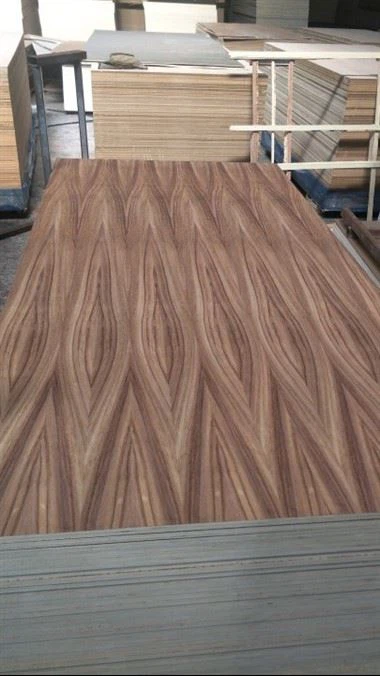 Contraxapat Parota Fancy